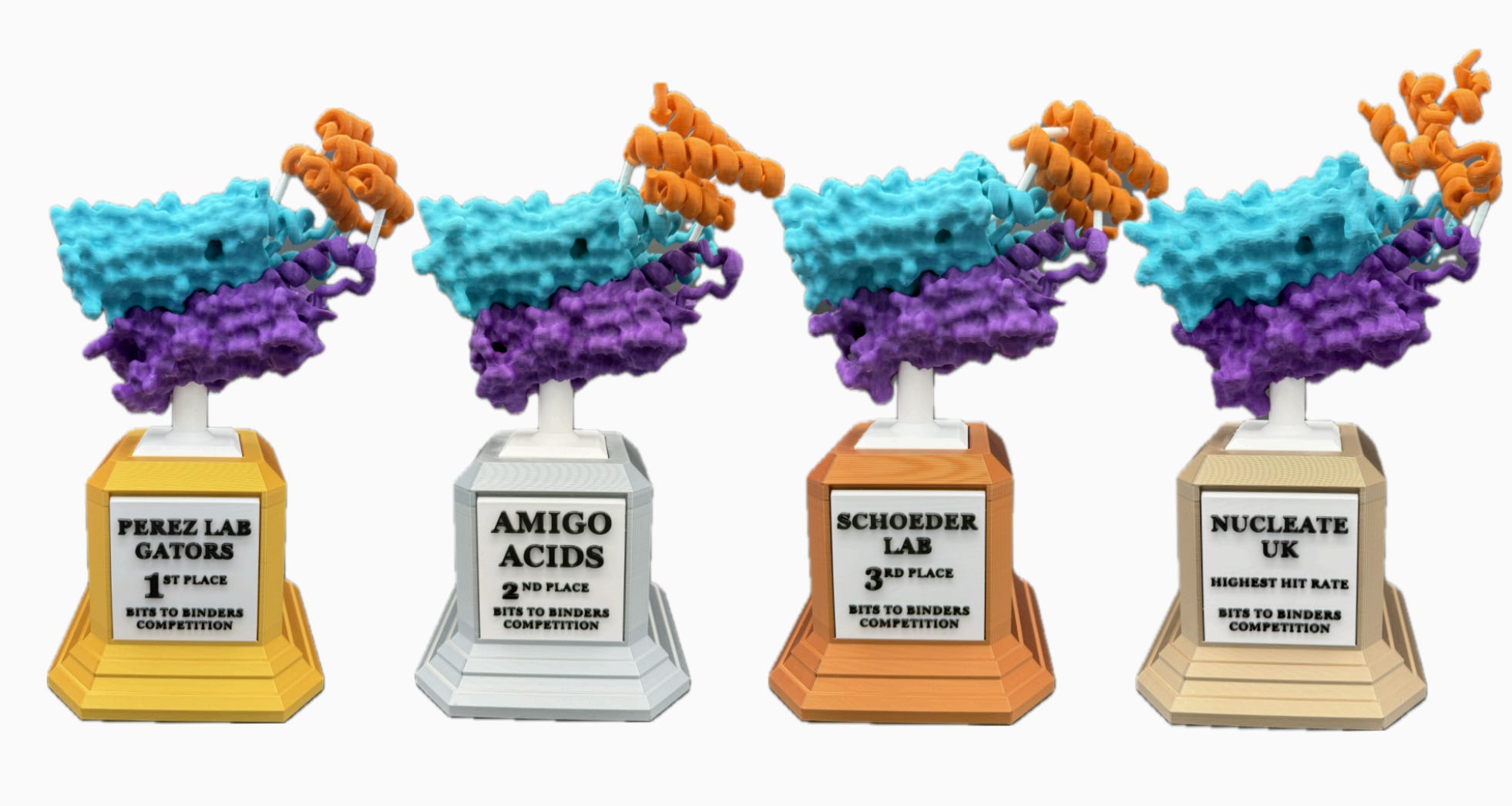 3D-printed protein trophies for the winning teams